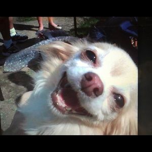 Meet your Posher, Kathy